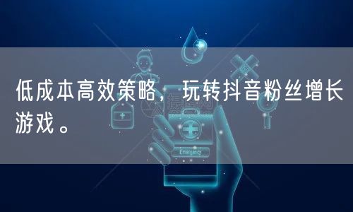 低成本高效策略,玩转抖音粉丝增长游戏。