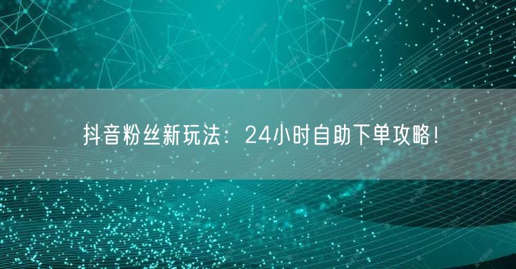 抖音粉丝新玩法:24小时自助下单攻略!