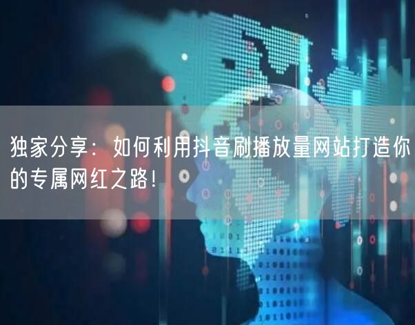 独家分享:如何利用抖音刷播放量网站打造你的专属网红之路!