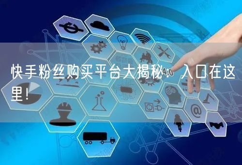 快手粉丝购买平台大揭秘:入口在这里!