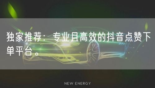 独家推荐:专业且高效的抖音点赞下单平台。