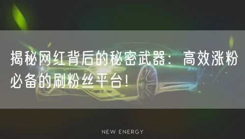 揭秘网红背后的秘密武器:高效涨粉必备的刷粉丝平台!