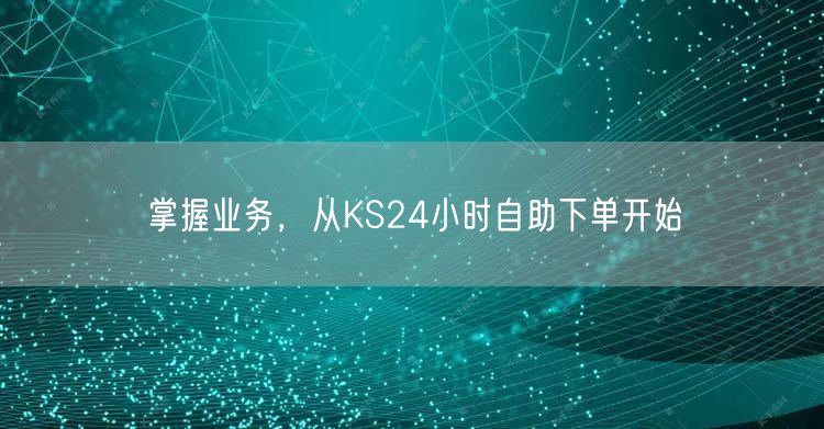 掌握业务,从KS24小时自助下单开始