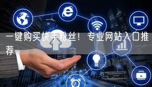 一键购买快手粉丝!专业网站入口推荐。