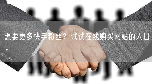 想要更多快手粉丝?试试在线购买网站的入口。