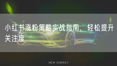 小红书涨粉策略实战指南,轻松提升关注度