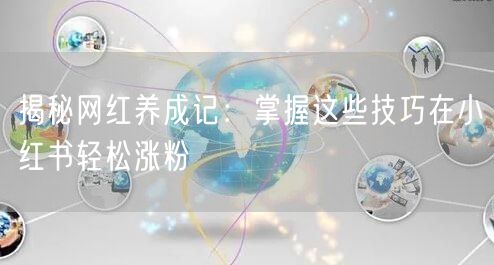 揭秘网红养成记:掌握这些技巧在小红书轻松涨粉