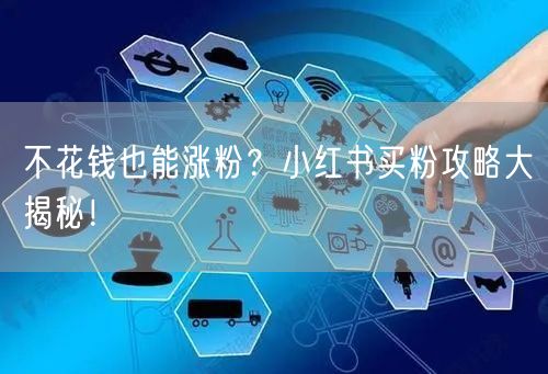 不花钱也能涨粉？小红书买粉攻略大揭秘！