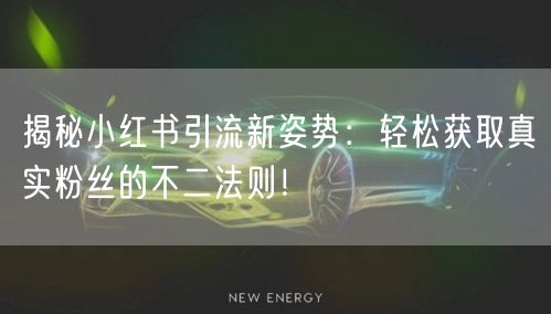 揭秘小红书引流新姿势：轻松获取真实粉丝的不二法则！