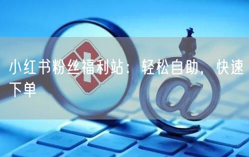 小红书粉丝福利站:轻松自助,快速下单