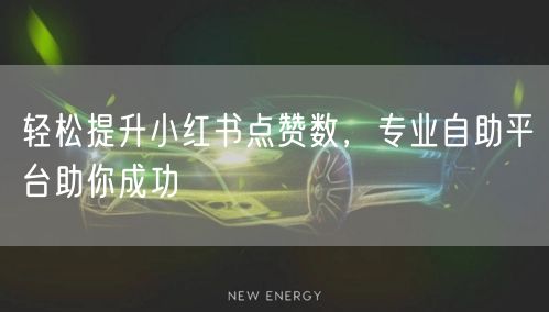 轻松提升小红书点赞数，专业自助平台助你成功