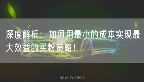 深度解析:如何用最小的成本实现最大效益的买粉策略!