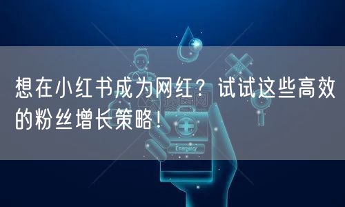 想在小红书成为网红？试试这些高效的粉丝增长策略！