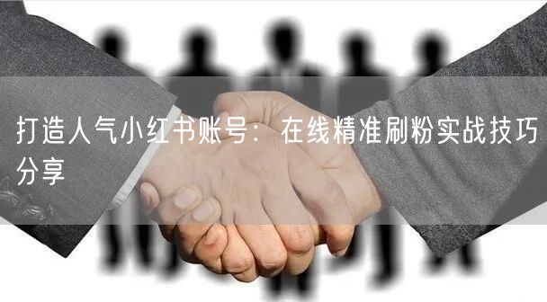 打造人气小红书账号:在线精准刷粉实战技巧分享