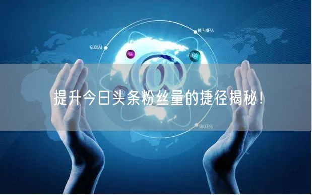 提升今日头条粉丝量的捷径揭秘!