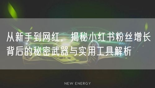 从新手到网红,揭秘小红书粉丝增长背后的秘密武器与实用工具解析