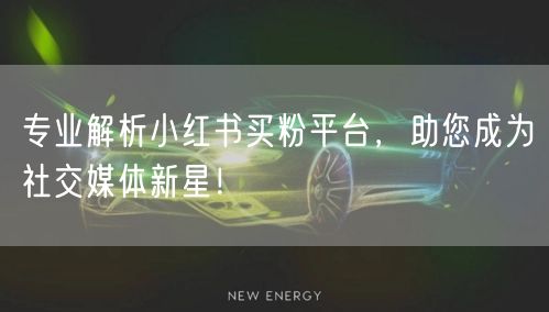 专业解析小红书买粉平台,助您成为社交媒体新星!