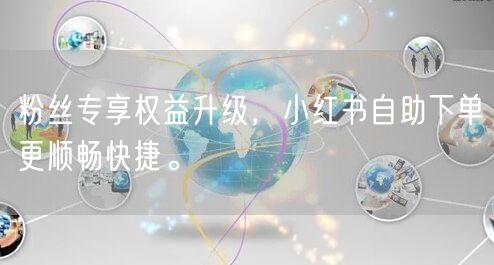 粉丝专享权益升级,小红书自助下单更顺畅快捷。