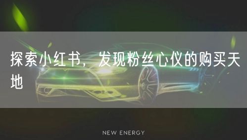 探索小红书,发现粉丝心仪的购买天地