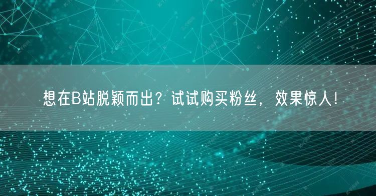 想在B站脱颖而出?试试购买粉丝,效果惊人!