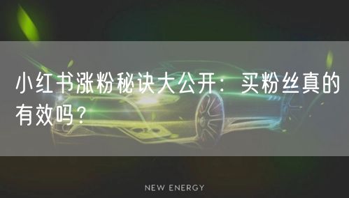小红书涨粉秘诀大公开：买粉丝真的有效吗？