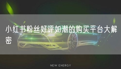 小红书粉丝好评如潮的购买平台大解密