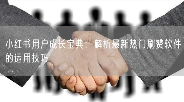 小红书用户成长宝典：解析最新热门刷赞软件的运用技巧