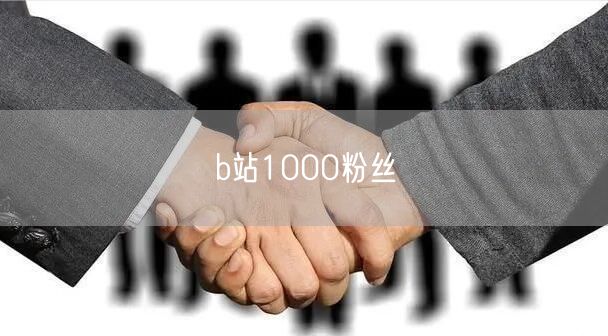 b站1000粉丝
