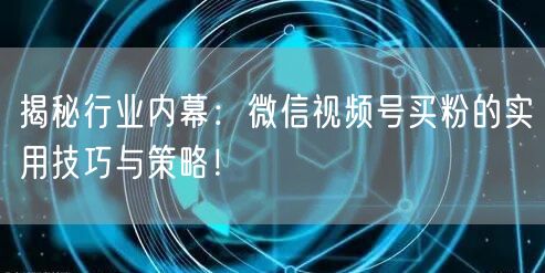 揭秘行业内幕:微信视频号买粉的实用技巧与策略!