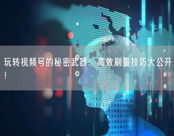 玩转视频号的秘密武器：高效刷量技巧大公开！