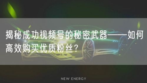 揭秘成功视频号的秘密武器——如何高效购买优质粉丝?