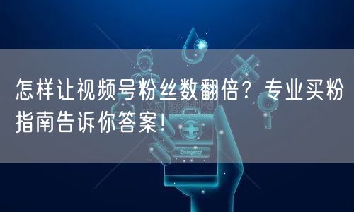 怎样让视频号粉丝数翻倍？专业买粉指南告诉你答案！