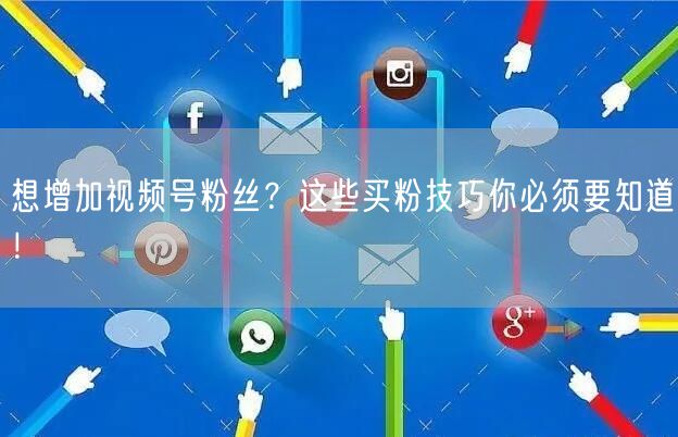 想增加视频号粉丝?这些买粉技巧你必须要知道!