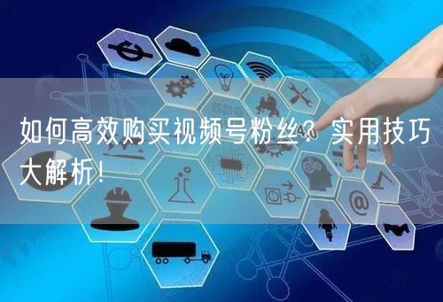 如何高效购买视频号粉丝？实用技巧大解析！