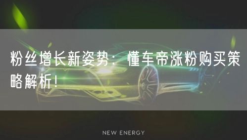 粉丝增长新姿势：懂车帝涨粉购买策略解析！