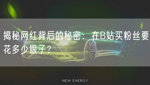 揭秘网红背后的秘密:在B站买粉丝要花多少银子?