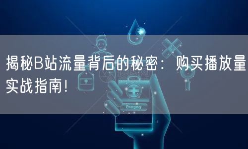 揭秘B站流量背后的秘密：购买播放量实战指南！