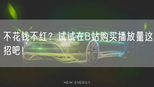 不花钱不红？试试在B站购买播放量这招吧！