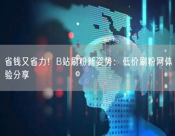 省钱又省力！B站刷粉新姿势：低价刷粉网体验分享