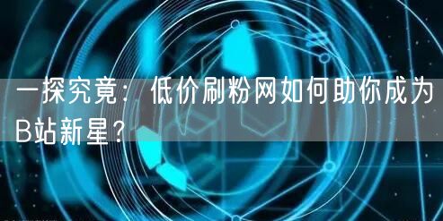 一探究竟：低价刷粉网如何助你成为B站新星？