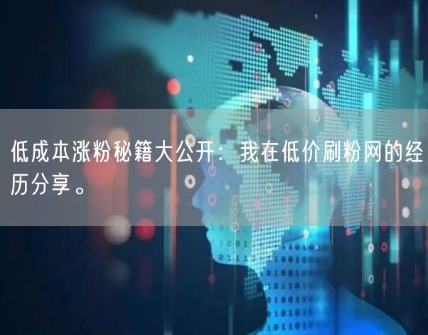低成本涨粉秘籍大公开：我在低价刷粉网的经历分享。