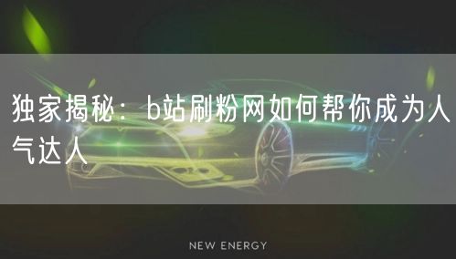 独家揭秘：b站刷粉网如何帮你成为人气达人