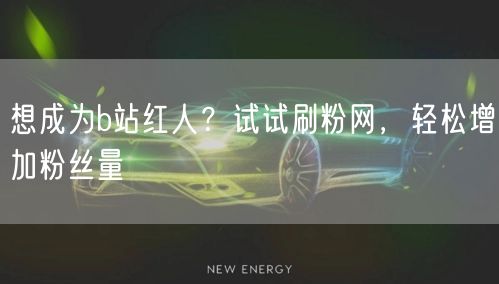 想成为b站红人？试试刷粉网，轻松增加粉丝量