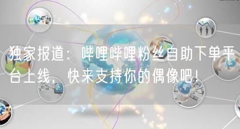 独家报道：哔哩哔哩粉丝自助下单平台上线，快来支持你的偶像吧！