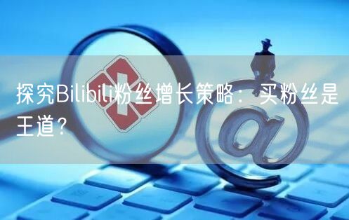 探究Bilibili粉丝增长策略:买粉丝是王道?