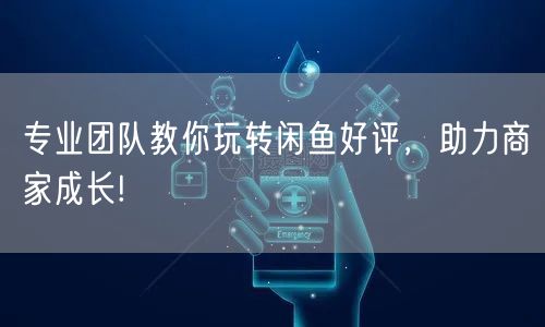 专业团队教你玩转闲鱼好评，助力商家成长!