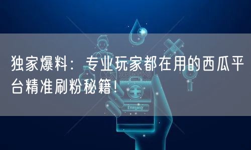 独家爆料：专业玩家都在用的西瓜平台精准刷粉秘籍！