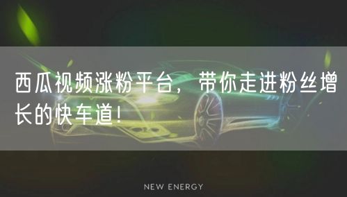 西瓜视频涨粉平台，带你走进粉丝增长的快车道！