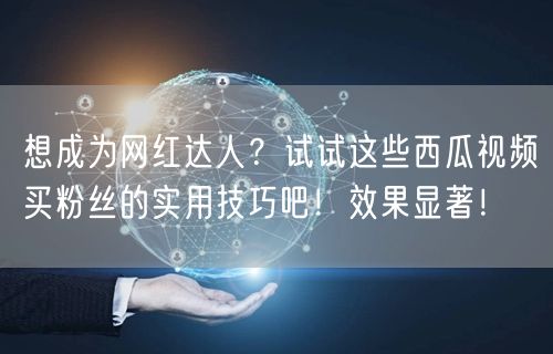想成为网红达人？试试这些西瓜视频买粉丝的实用技巧吧！效果显著！