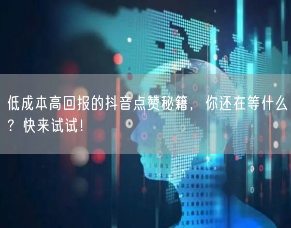 低成本高回报的抖音点赞秘籍，你还在等什么？快来试试！